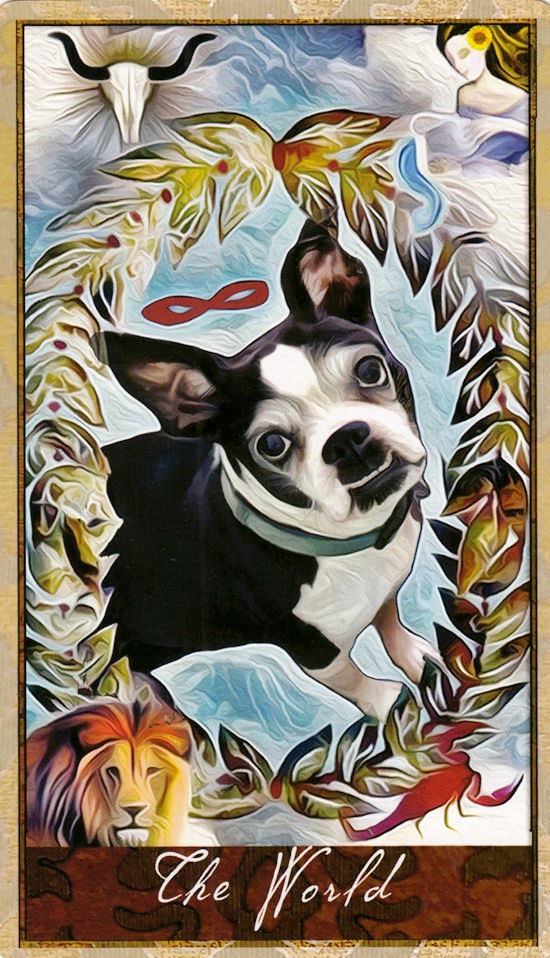 Wise Dog Tarot